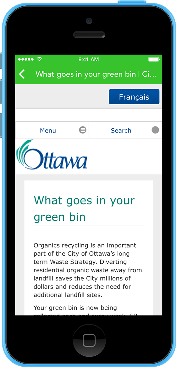 Screenshot of Official Rules from the City of Ottawa